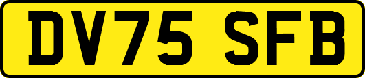 DV75SFB