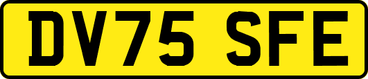 DV75SFE