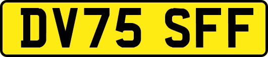 DV75SFF