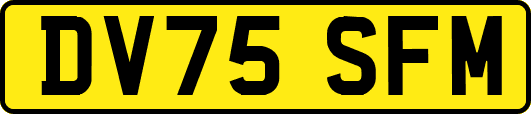 DV75SFM