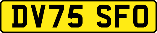 DV75SFO