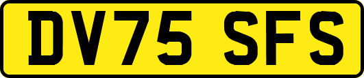 DV75SFS