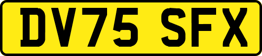 DV75SFX