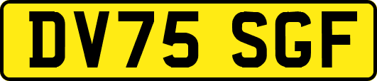DV75SGF