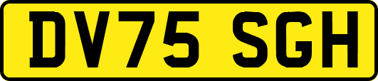 DV75SGH