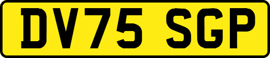 DV75SGP