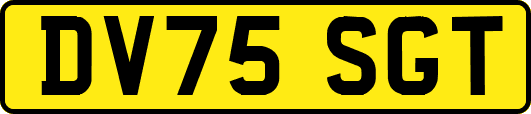 DV75SGT