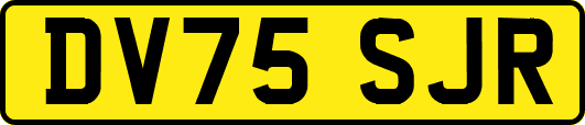 DV75SJR