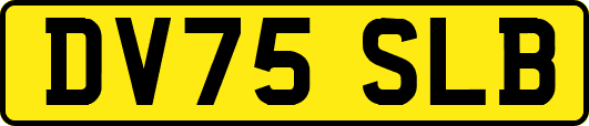DV75SLB