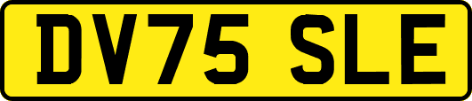 DV75SLE