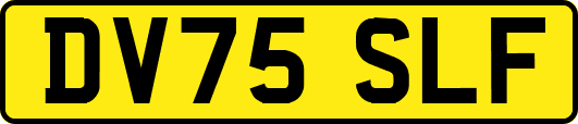 DV75SLF
