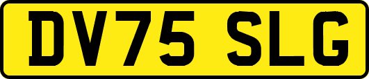 DV75SLG