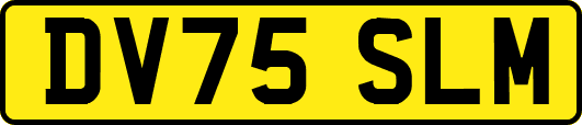 DV75SLM