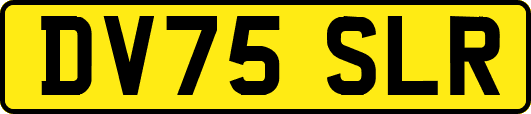 DV75SLR