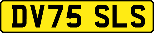 DV75SLS