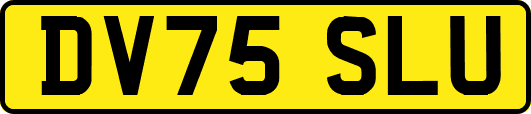 DV75SLU