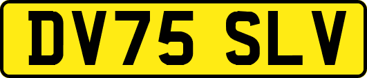 DV75SLV