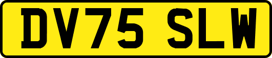 DV75SLW
