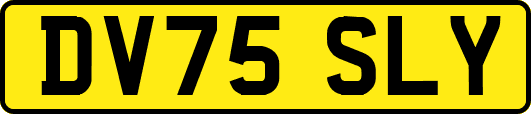 DV75SLY