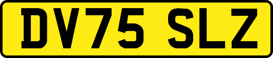 DV75SLZ
