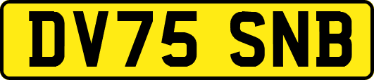 DV75SNB