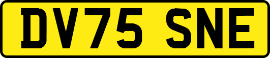 DV75SNE