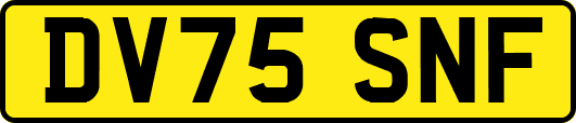 DV75SNF