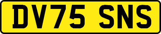 DV75SNS