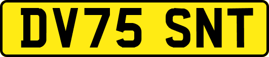 DV75SNT