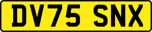 DV75SNX