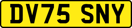 DV75SNY