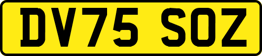 DV75SOZ