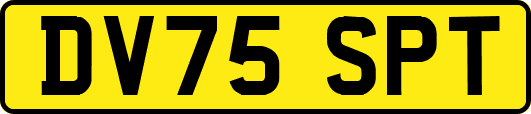 DV75SPT