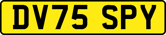 DV75SPY