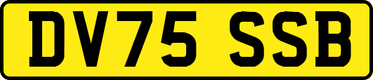 DV75SSB