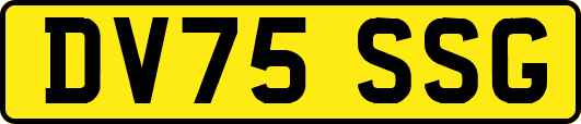 DV75SSG
