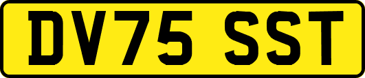 DV75SST