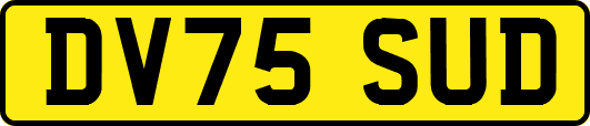 DV75SUD