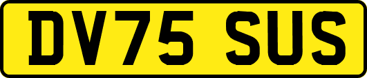 DV75SUS