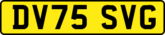 DV75SVG