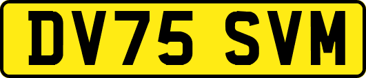 DV75SVM