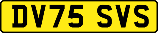 DV75SVS