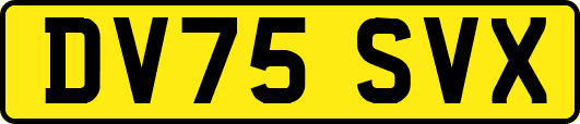 DV75SVX