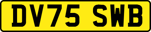 DV75SWB