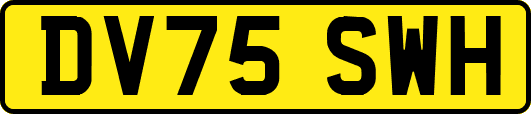 DV75SWH