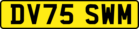 DV75SWM