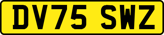 DV75SWZ