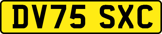 DV75SXC