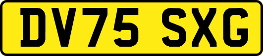 DV75SXG