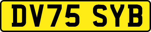 DV75SYB